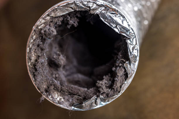 Best Affordable Air Duct Cleaning  in Cathcart, WA